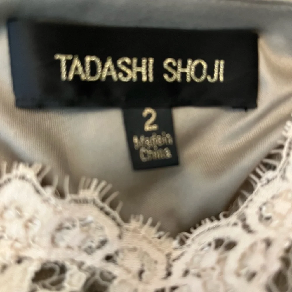 Tadashi Shoji lace dress. Size 2 - Picture 5 of 10